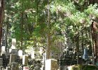 2008-04-04- KOYASAN-P1010849